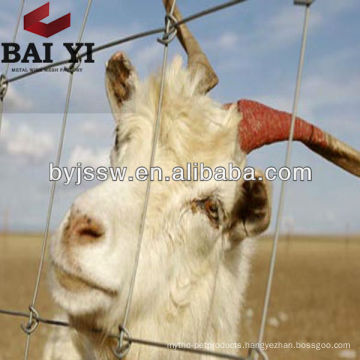 Goat / Cow / Dear Fencing ( Quality Guaranteed , Competitive Price )